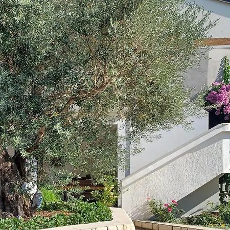 Apartamento In Palit