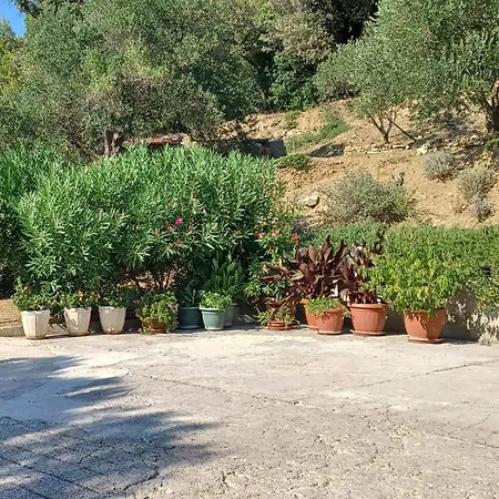 In Διαμέρισμα Palit